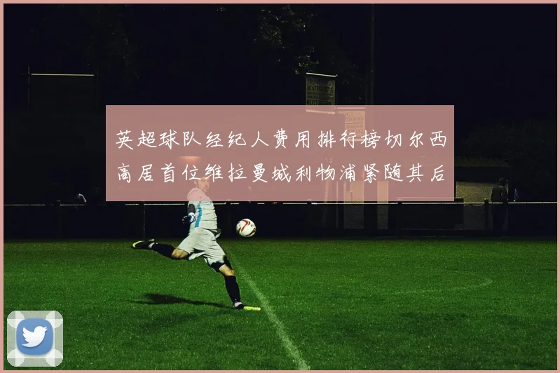 英超球队经纪人费用排行榜切尔西高居首位维拉曼城利物浦紧随其后