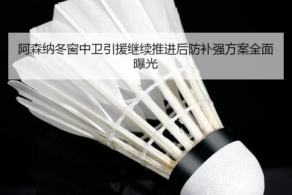 阿森纳冬窗中卫引援继续推进后防补强方案全面曝光
